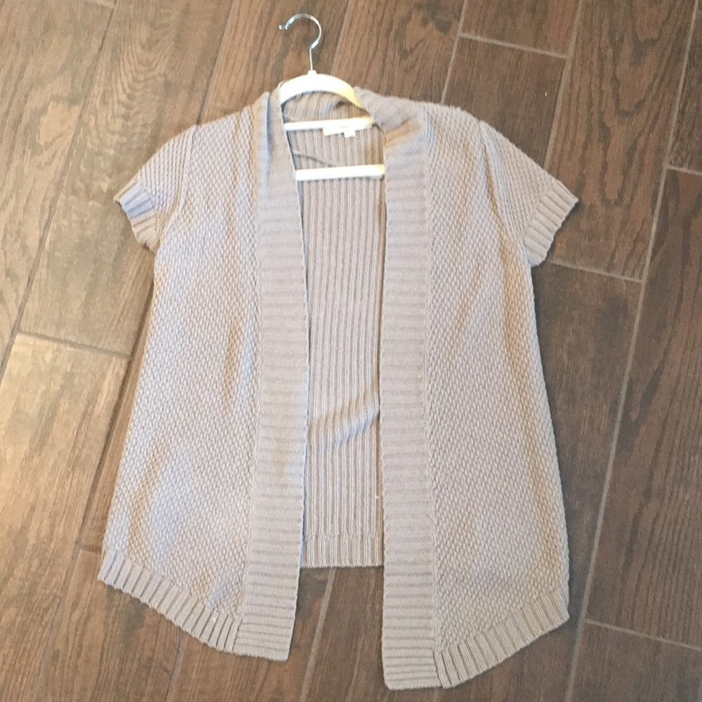 Loft short sleeve sweater